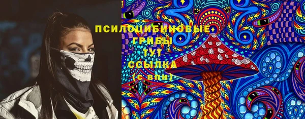 гашик Алексеевка