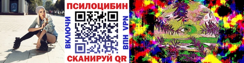 Галлюциногенные грибы MAGIC MUSHROOMS  Новоузенск 