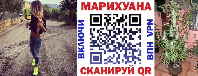 Шишки марихуана AK-47  дарнет шоп  Новоузенск 